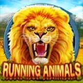 Running Animals