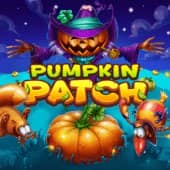 Pumpkin Patch