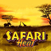 Safari Heat
