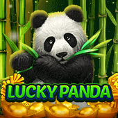 Lucky Panda