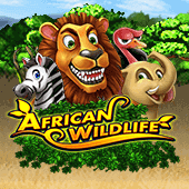 Safari Life