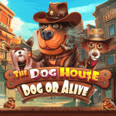 The Dog House – Dog or Alive