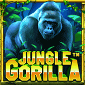 Jungle Gorilla