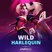 Wild Harlequin